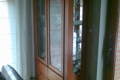 20130225060